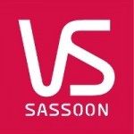 VS-Logo_red42-1