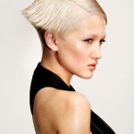 hairstyles 2012